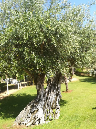 Quinta d'Oliveiras - Abrantes