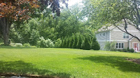 Segundo & Sons Landscaping LLC. - Photo 9 - Car repair in Ansonia, CT, Bridgeport