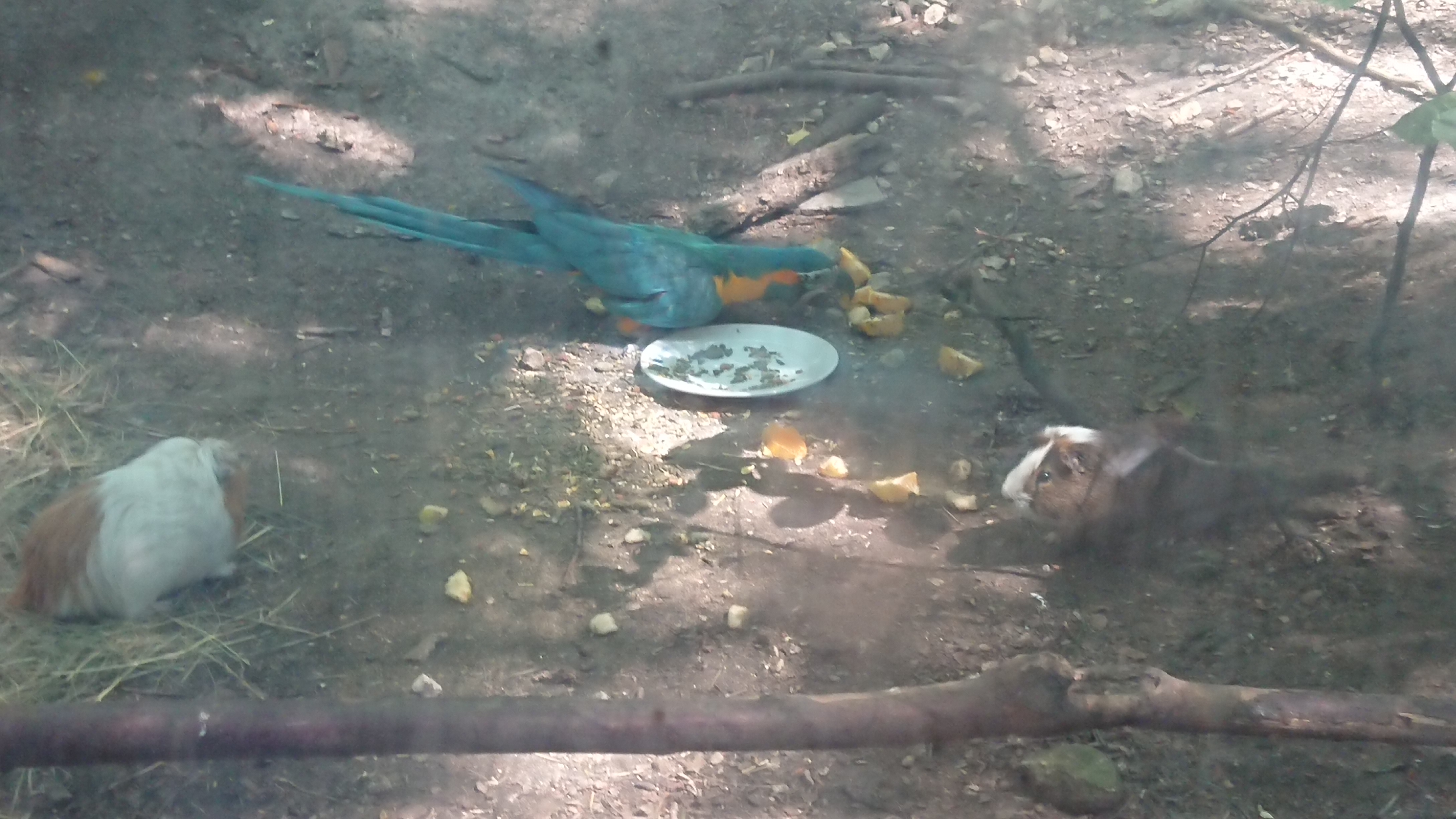 Photo n° 4 de l'avis de Gwendoline.u fait le 30/06/2019 à 20:12