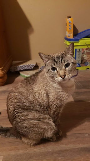 145 E Centerville Rd, Garland, TX 75041, USA