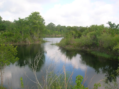 Green Swamp Wildlife Management Area