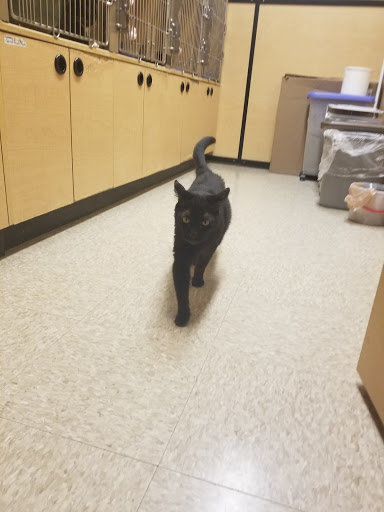 Pet Supply Store «PetSmart», reviews and photos, 2865 Oak Valley Dr, Ann Arbor, MI 48103, USA