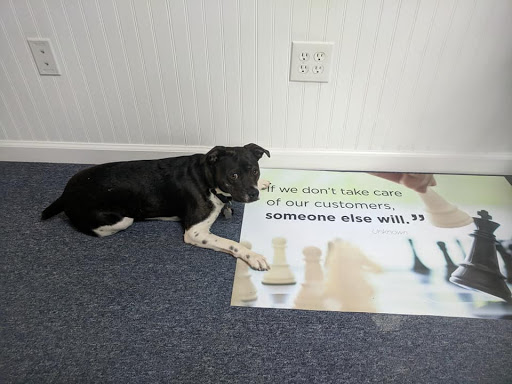 Computer Repair Service «Alliance Computers of Lemoyne», reviews and photos, 1201 Market St, Lemoyne, PA 17043, USA