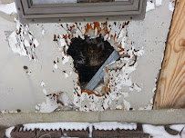 Varment Guard Wildlife Services - Photo 8 - Car repair in , Elkhart