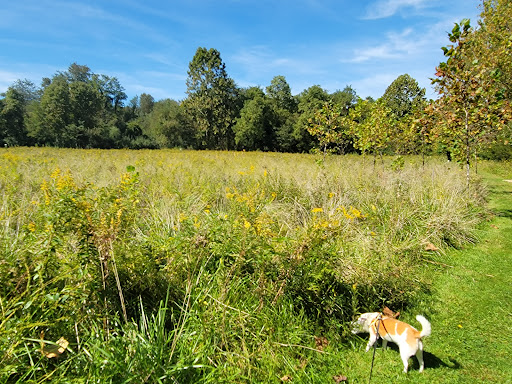 Nature Preserve «Cool Spring Preserve», reviews and photos, 1469 Lloyd Rd, Charles Town, WV 25414, USA