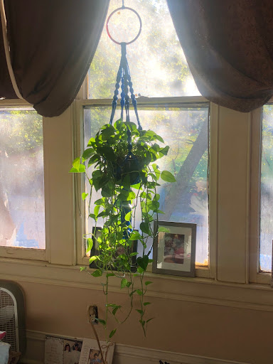 Insurance Agency «Allstate Insurance Agent: Matt Black», reviews and photos