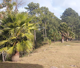 Cabañas La Mesa photo