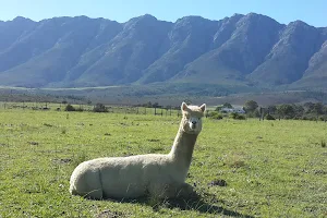 Fynbos Animal Sanctuary image