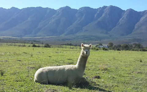 Fynbos Animal Sanctuary image