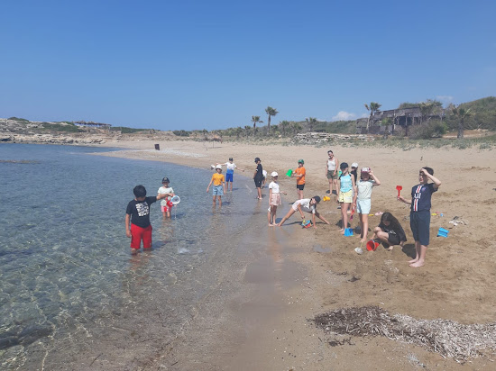 Balci Plaza Beach