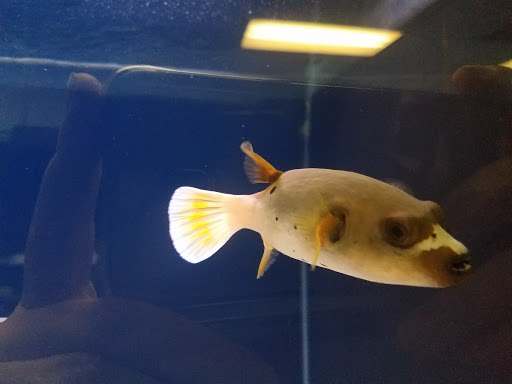 Tropical Fish Store «Seascape Aquatics», reviews and photos, 5038 Academy Blvd N, Colorado Springs, CO 80918, USA