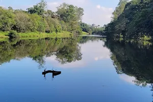Lago Cambésinho image