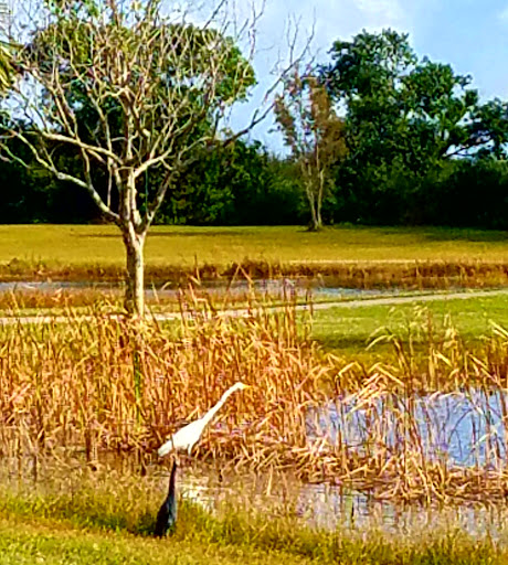 Boat Ramp «South Bay RV Park», reviews and photos, 100 Levee Rd, South Bay, FL 33493, USA