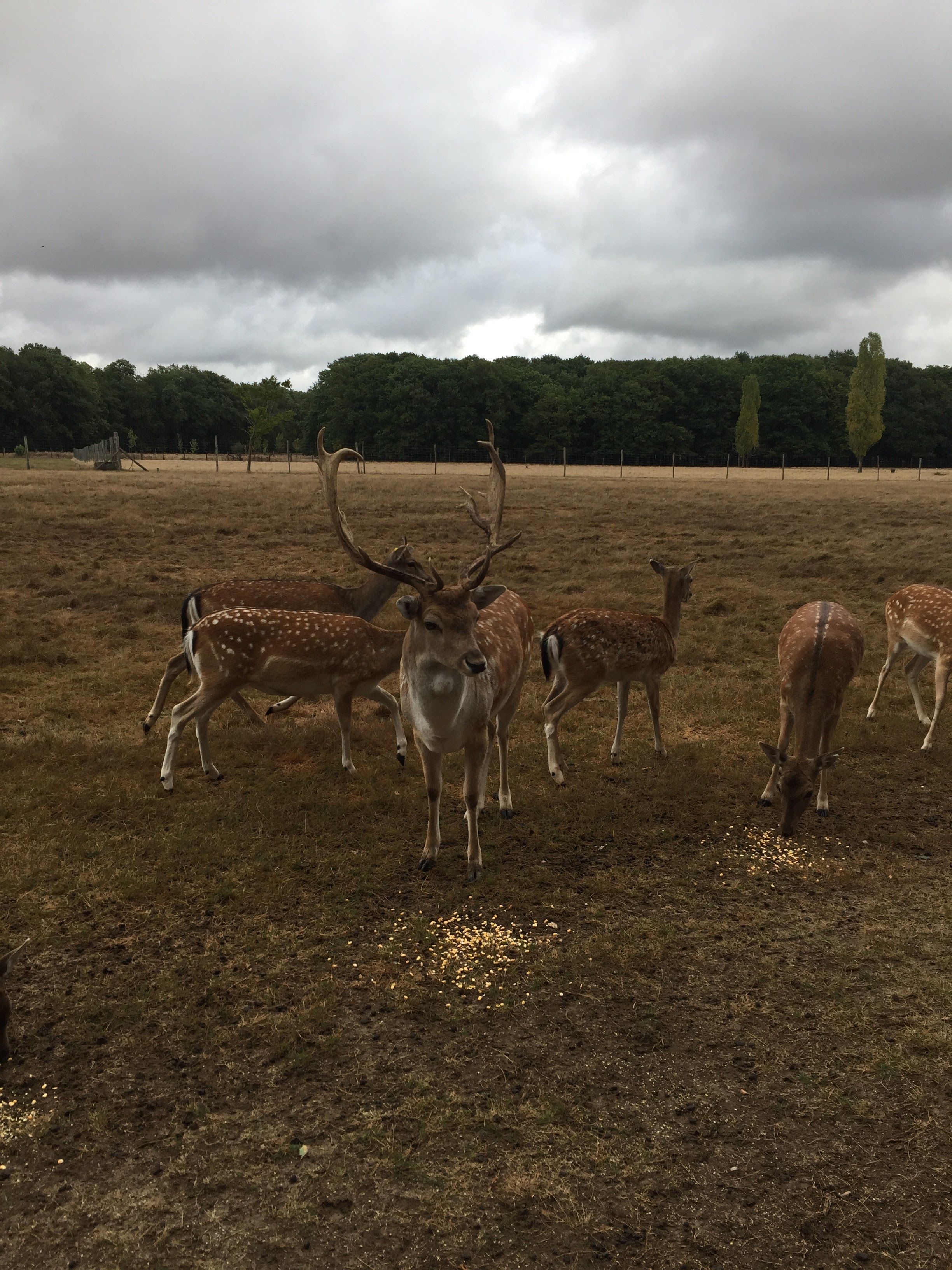 Photo n° 3 de l'avis de Charlène.s fait le 25/01/2024 à 20:18