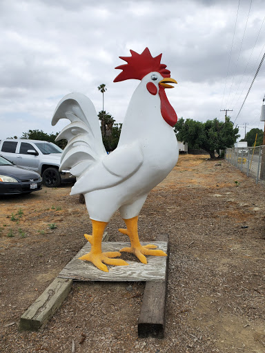 Maust's California Poultry