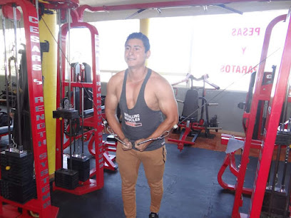 Power Hard Gym - 72170, Av. Pinos 10, Sta Cruz Buenavista, 72150 Puebla, Pue., Mexico