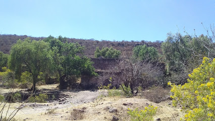 Ex Hacienda El Saucillo