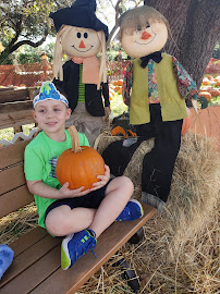 Gardens School of Technology Arts - Photo 8 - Car repair in Palm Beach Gardens, FL, West Palm Beach