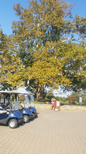 Golf Course «Knob Hill Golf Course», reviews and photos, 1 Shinnecock Dr, Manalapan Township, NJ 07726, USA