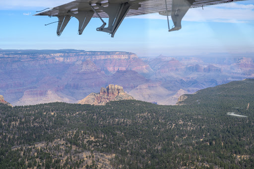 Airport «Grand Canyon National Park Airport», reviews and photos