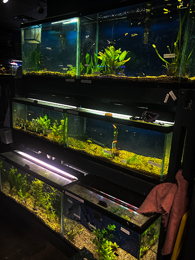 Pet Supply Store «Pickering Valley Feed & Farm Store», reviews and photos, 305 Gordon Dr, Exton, PA 19341, USA