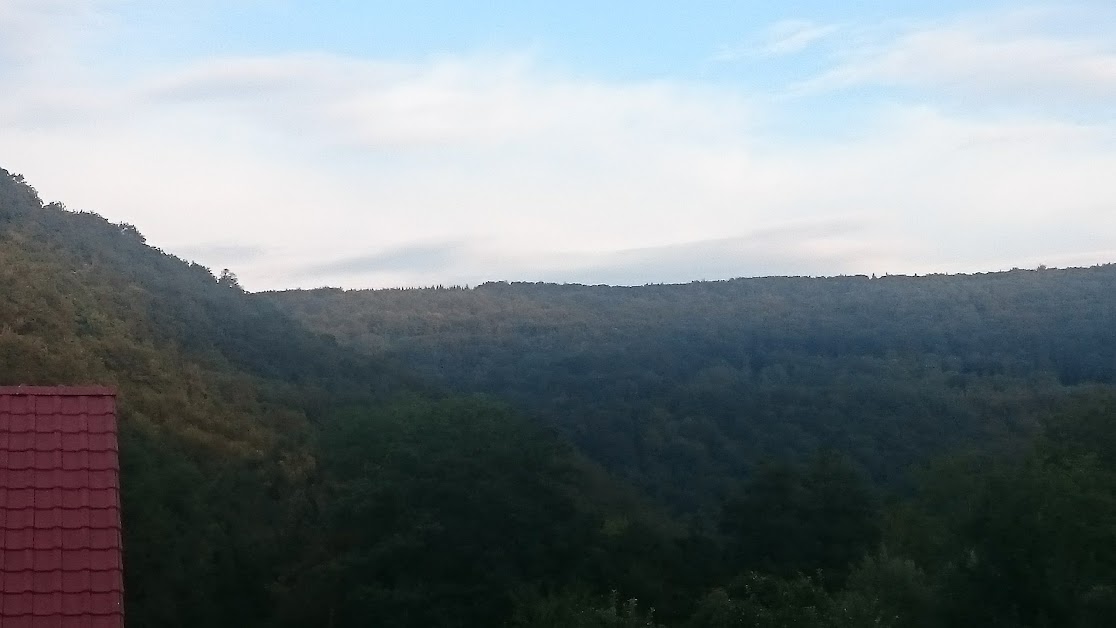 Location Vacances - DOUBS - à Noirefontaine