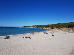 Spiaggia di Cala Sabina'in fotoğrafı ve yerleşim