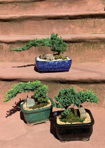 Florist «Hudson Florist», reviews and photos, 741 Bergen Ave, Jersey City, NJ 07306, USA