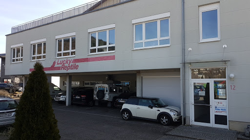 Import Export Peter Hoch GmbH unter Waldkirch, 