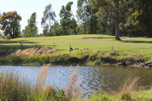 Golf Course «Coyote Run Golf Course», reviews and photos, 17440 Warren Shingle Rd, Beale AFB, CA 95903, USA