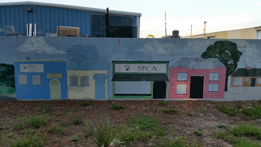 Park «Northeast Park and Paw Place», reviews and photos, 4630 E Bay Dr, Clearwater, FL 33764, USA