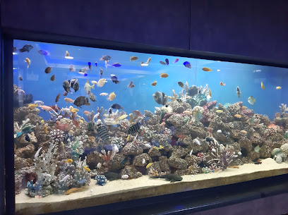 Blue World Aquarium