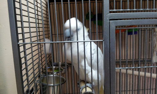 Pet Supply Store «Skyway Feed & Pet Supply Inc», reviews and photos, 677 Birch St, Paradise, CA 95969, USA