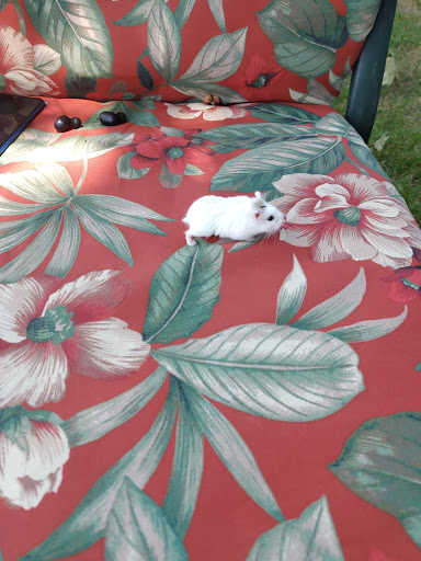 Pet Supply Store «Pet Supplies Plus», reviews and photos, 311 Sagamore Pkwy N, Lafayette, IN 47904, USA