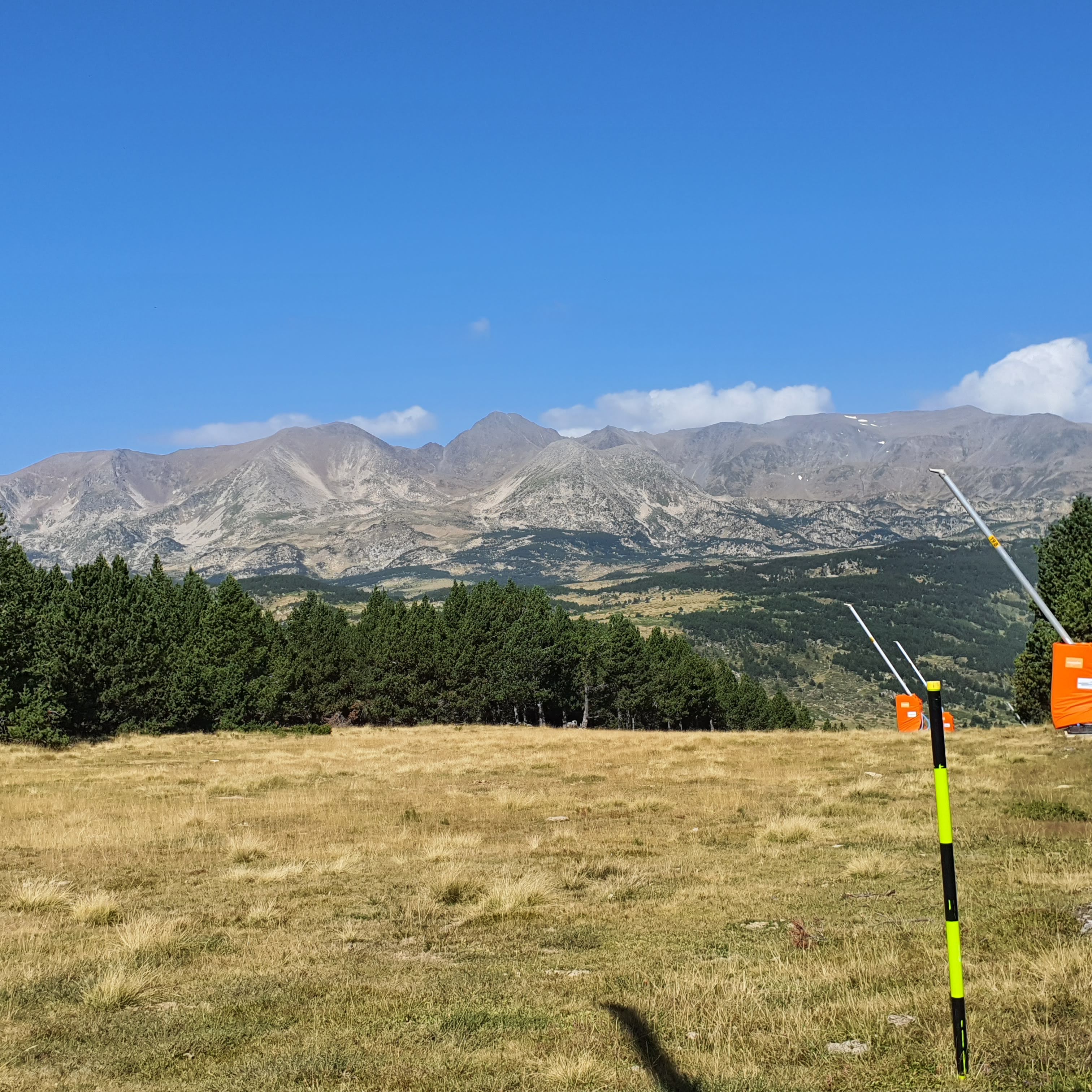 Photo n° 35 de l'avis de Gazelle.a fait le 30/09/2023 à 16:47