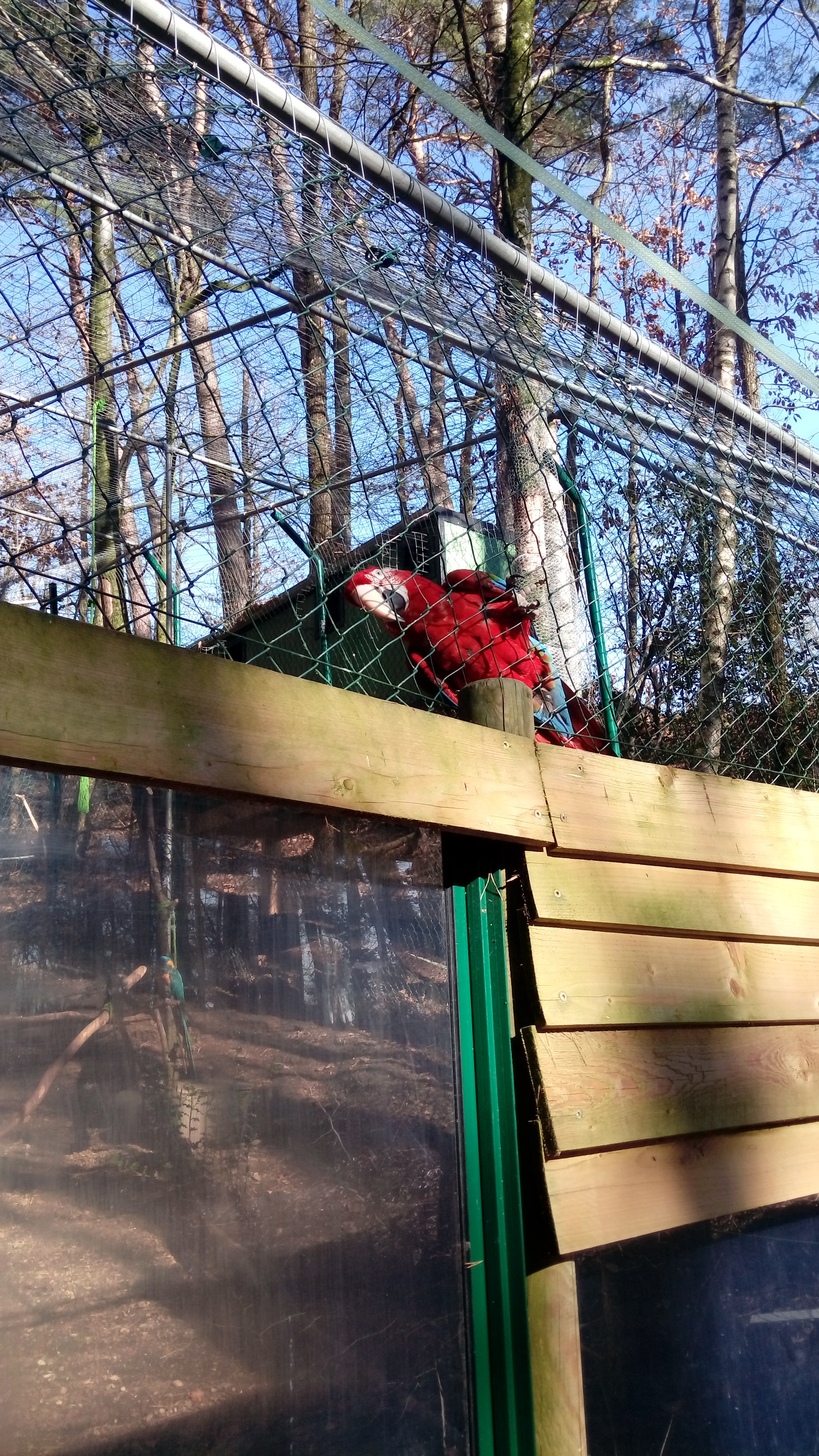 Photo n° 5 de l'avis de Salomez.a fait le 23/02/2019 à 15:38