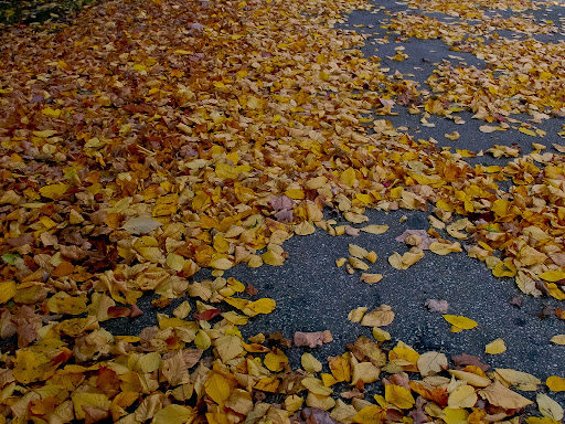 Drive-in Movie Theater «Rustic Drive in Theatre», reviews and photos, Louisquisset Pike, North Smithfield, RI 02896, USA