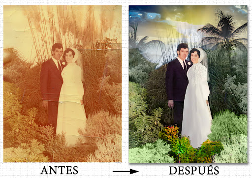 Amor