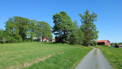 Øvre Ringi gård