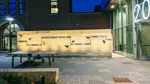 Tourist Attraction «Pedestrian Mall», reviews and photos, 201 Dubuque St, Iowa City, IA 52240, USA