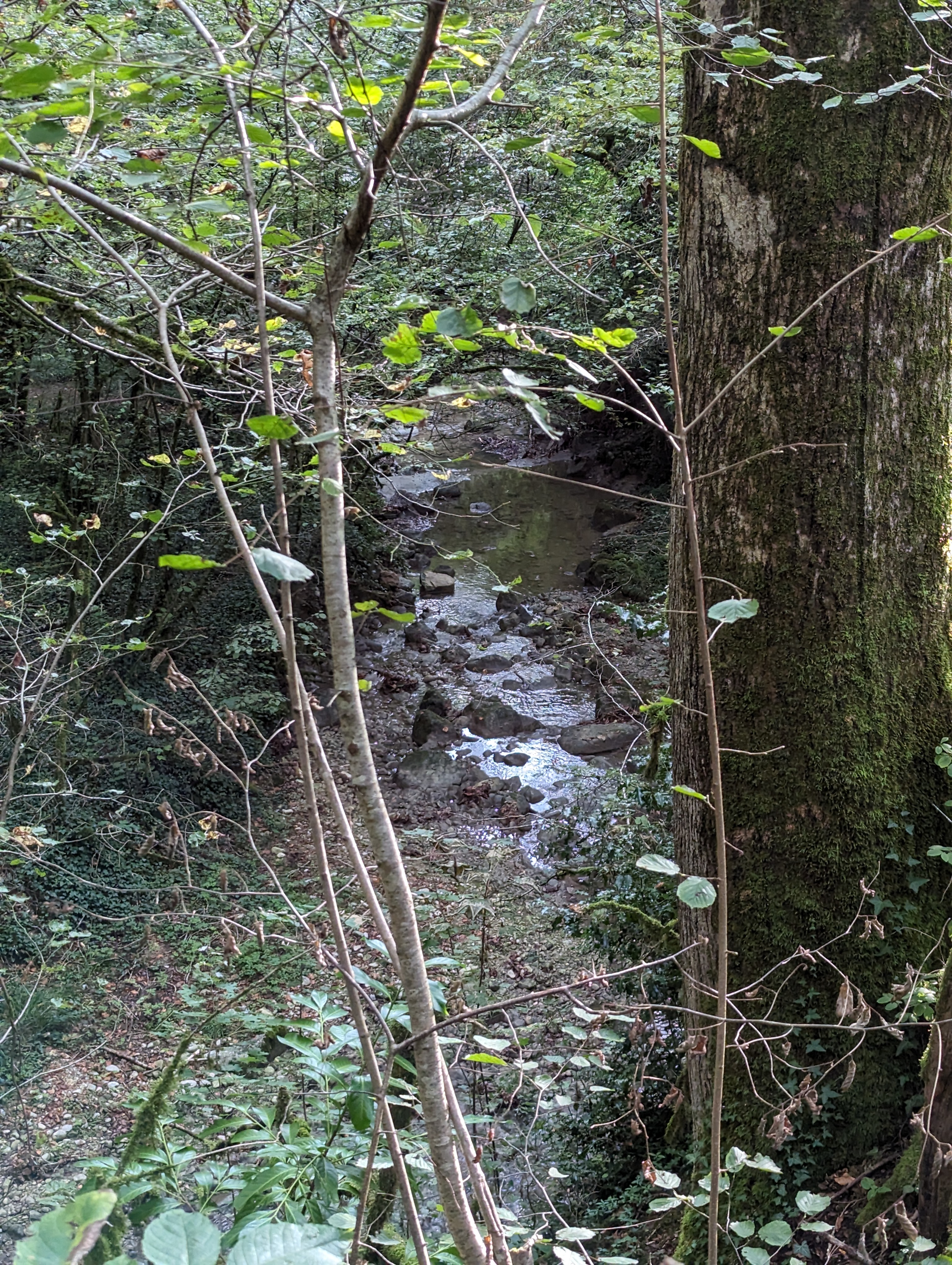 Photo n° 2 de l'avis de Irène.. fait le 15/09/2023 à 10:01