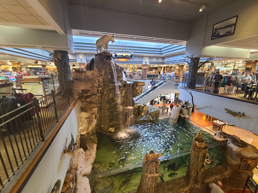 Sporting Goods Store «Bass Pro Shops», reviews and photos, 300 Cincinnati Mills Dr, Cincinnati, OH 45240, USA