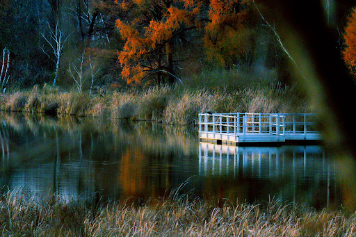 Nature Preserve «Tamarack Nature Center», reviews and photos, 5287 Otter Lake Rd, White Bear Township, MN 55110, USA