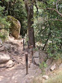 Cascade de Piscia di Ghjaddu - Cascata di Piscia di Ghjaddu du Restaurant U Diamente à San-Gavino-Di-Carbini - n°4