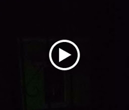 Roomies Hostel Roma photo