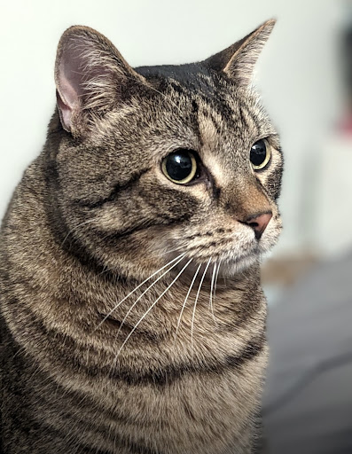 Explore son and daughter tattoo ideas, creative tattoo ideas in Puyallup, available at Get Right Studios