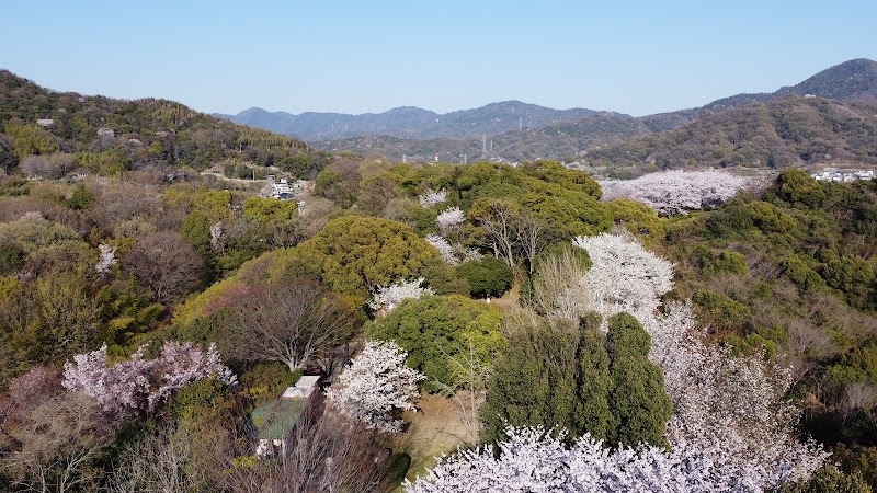 横浜公園 展望台