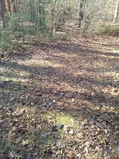 Park «Bouldercrest Park», reviews and photos, 4184 Bouldercrest Park Rd, Ellenwood, GA 30294, USA