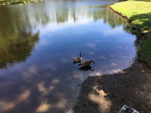 Park «Endicott Park (Town of Danvers)», reviews and photos, 57 Forest St, Danvers, MA 01923, USA