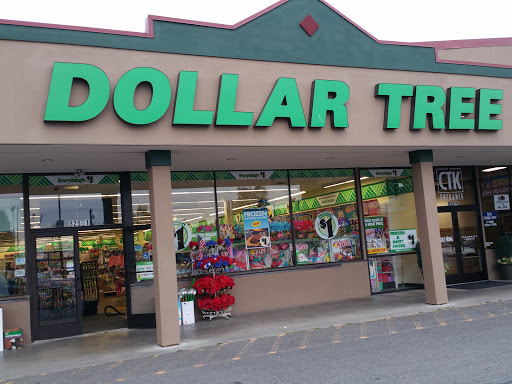 Dollar Store «Dollar Tree», reviews and photos, 825 Ave D #1, Snohomish, WA 98290, USA